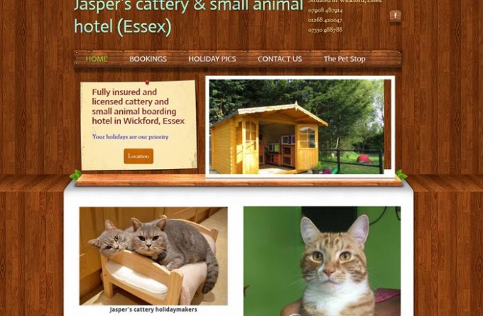 Jasper's Cattery