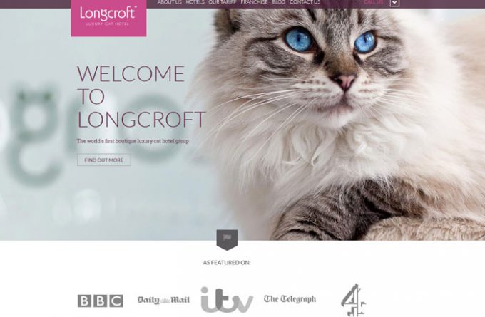 Longcroft Cattery Margate