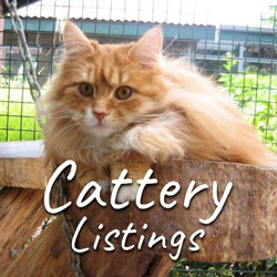 Cattery Listings