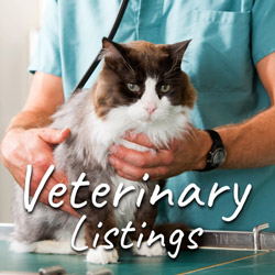 Vet listings