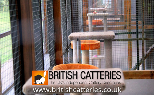 (c) Britishcatteries.co.uk