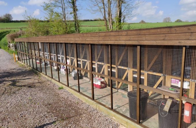 Stable Farm Cattery Wolverhampton