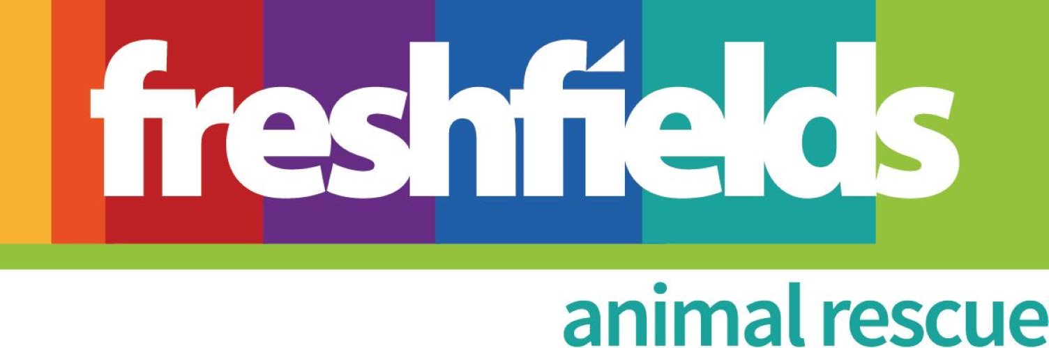 Freshfields Animal Rescue Caernarfon - Caernarfon